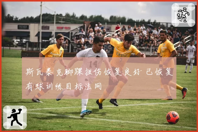 斯瓦泰克脚踝扭伤恢复良好 已恢复有球训练目标法网