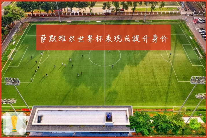 萨默维尔世界杯表现或提升身价