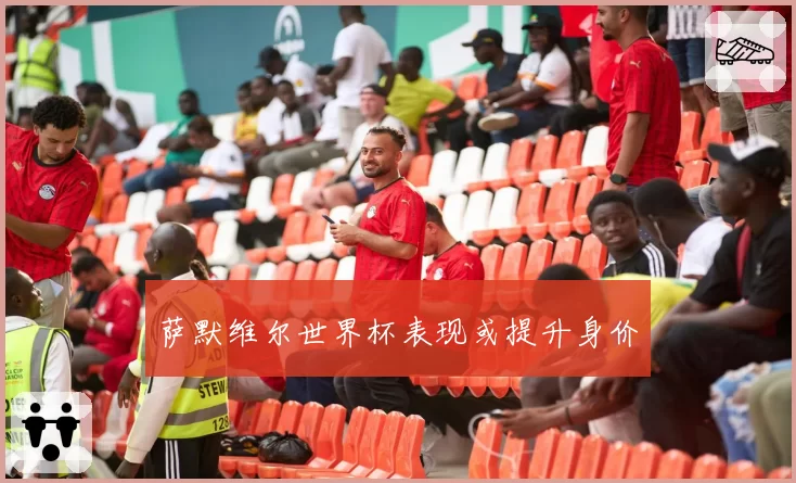 萨默维尔世界杯表现或提升身价
